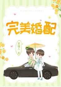 完美婚配 百度