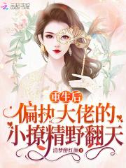 重生偏执大佬的小娇妻